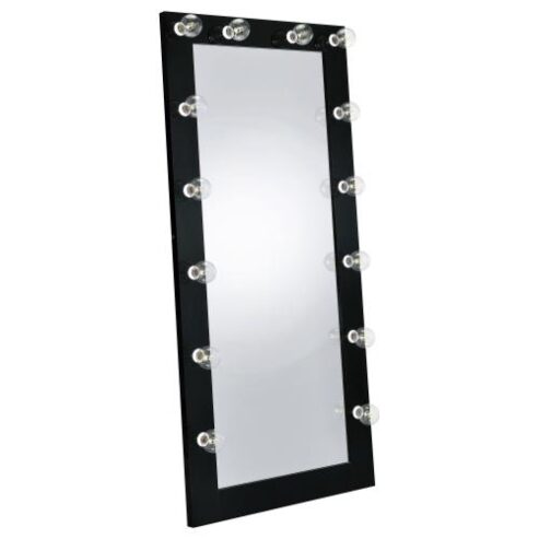 Full Length Floor Mirror with Lighting, Available in Black or White